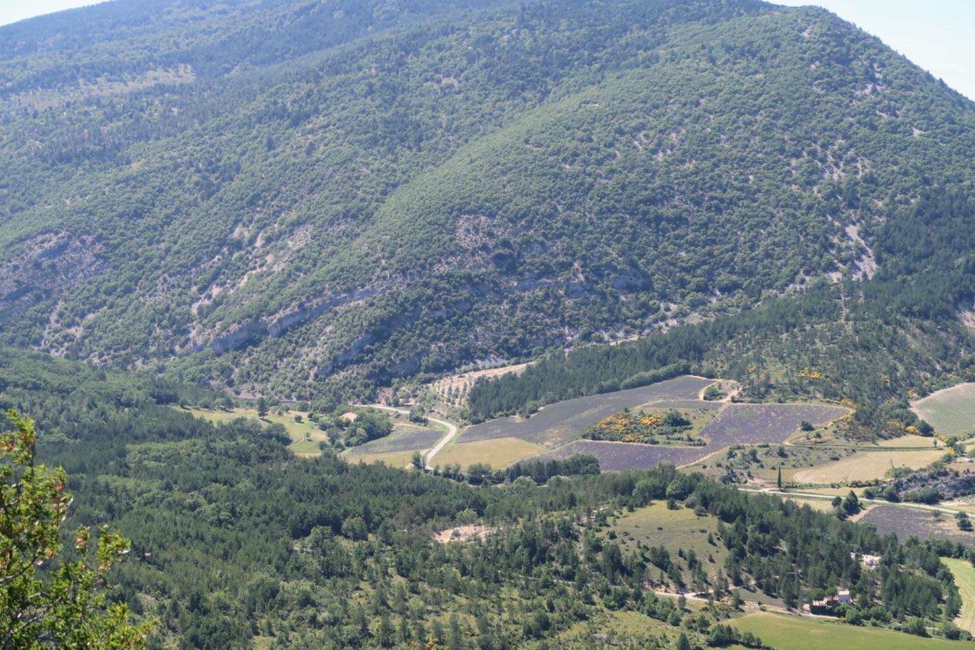 La Terrasse D'Olea, Au Coeur Du Village Buis-les-Baronnies Eksteriør bilde